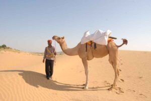 Camel-Safari-Osian
