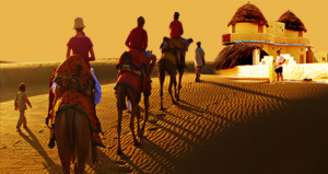 evening-camel-safari