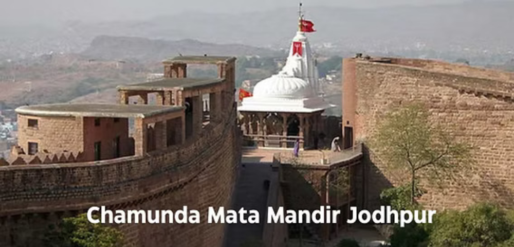 Jodhpur Taxi Services