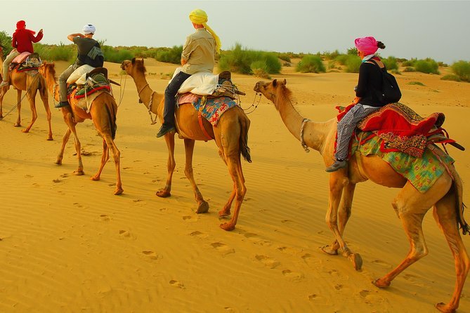 things to do in Jaisalmer
